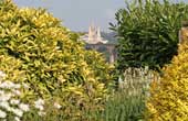 Truro Cathedral from Bosvigo Garden (Canon 70-200L)
