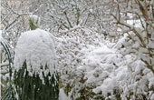 Winter 2007