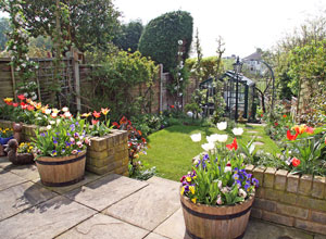 Our Garden April 2009