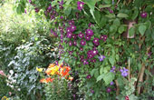 July 2010